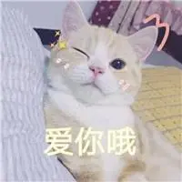 yang tidak termasuk gaya renang adalah Zhao Yun tidak akan pernah pergi menemui kucing yang tersenyum di sumur segera